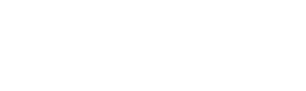 Bridht Infra System